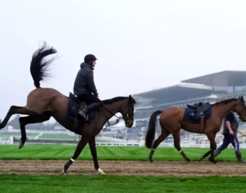 Cheltenham Festival 2026 Day One: Champion Hurdle Showdown and Unpredictable Racing