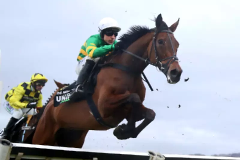 Cheltenham Festival 2026 Day One: Expert Tips and Top Horses to Watch