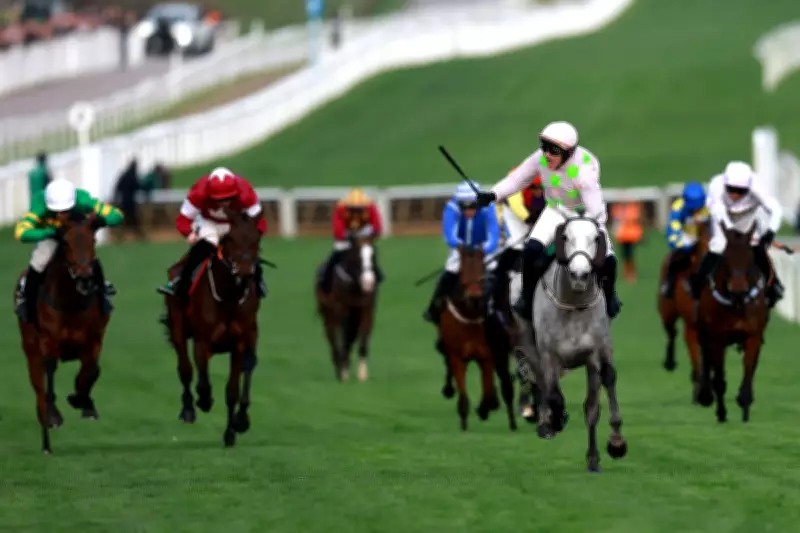 Cheltenham Festival 2026: Full Schedule, Race Card, and Viewing Details