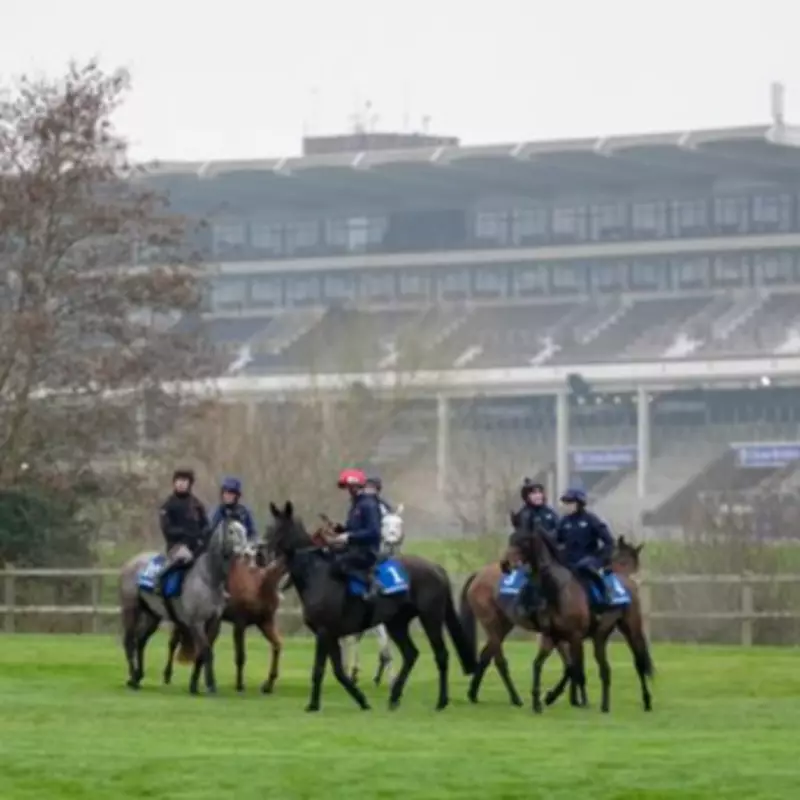 Cheltenham Festival 2026 Kicks Off with Expert Racing Tips and Full Coverage