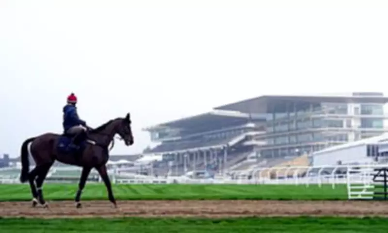 Cheltenham Festival 2026 Preview: Expert Tips and Race Analysis