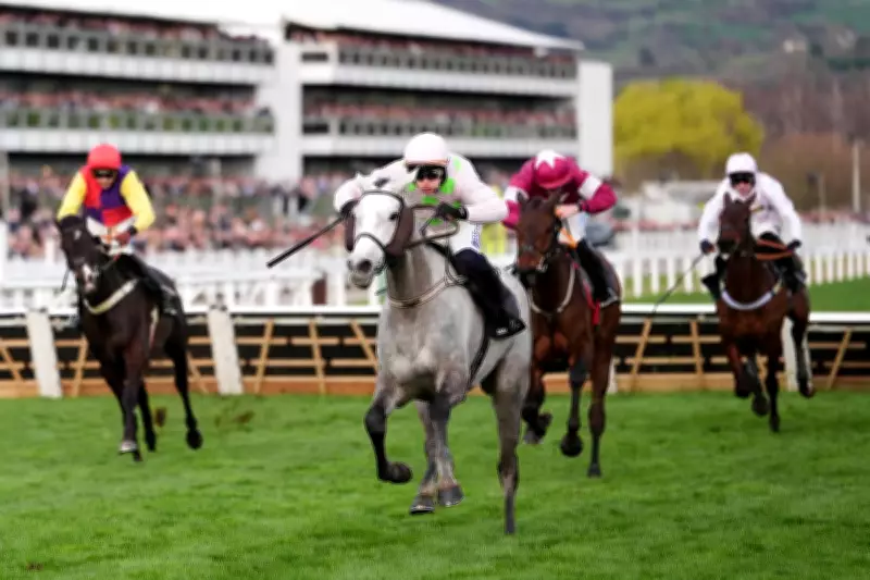 Cheltenham Festival Day 2: Majborough Aims for Champion Chase Victory on Ladies Day