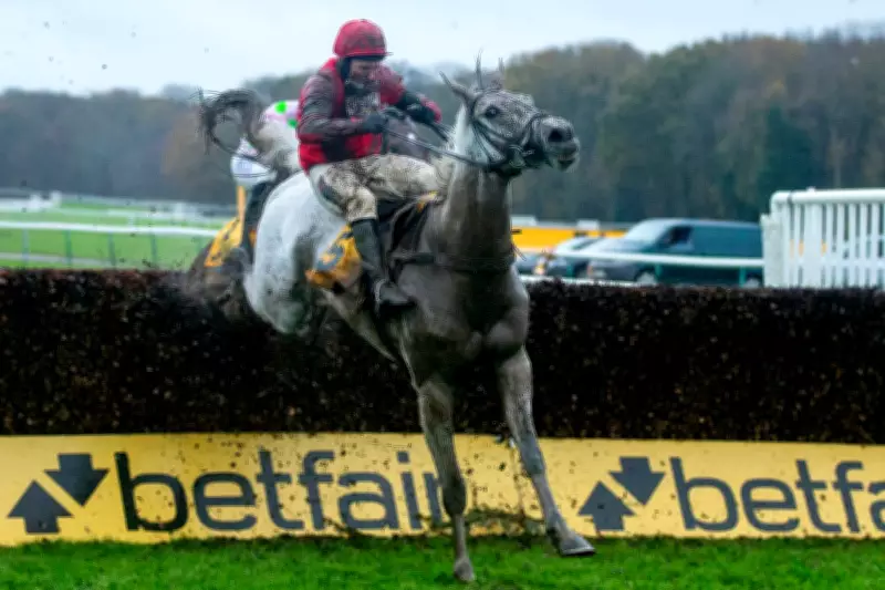 Cheltenham Festival Day Four: Expert Betting Tips and Race Analysis
