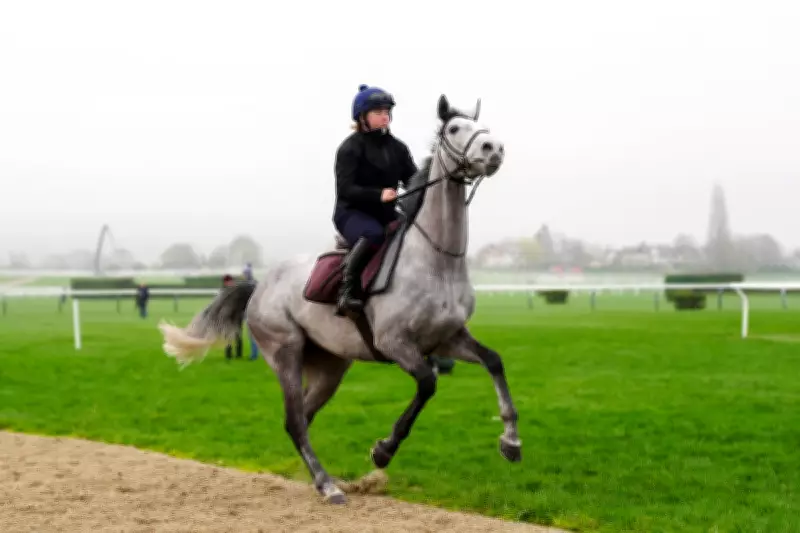 Cheltenham Festival Day One: Expert Tips and Betting Guide for All Races