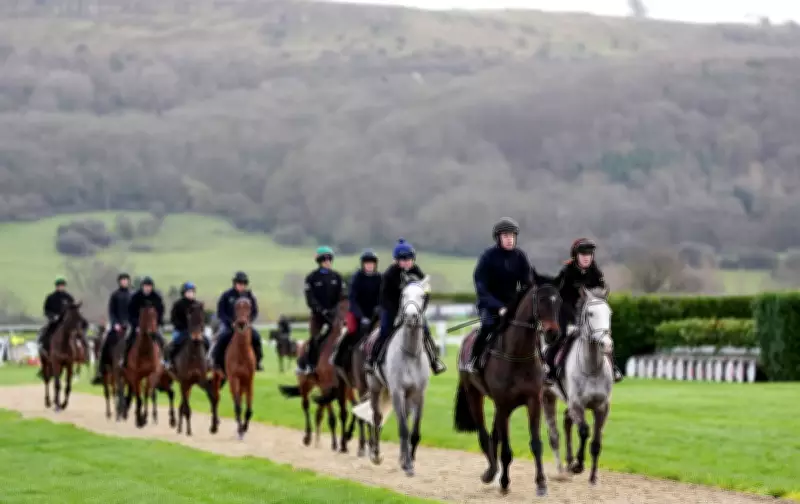 Cheltenham Festival Day One Weather Forecast: Cloudy with Light Rain Expected