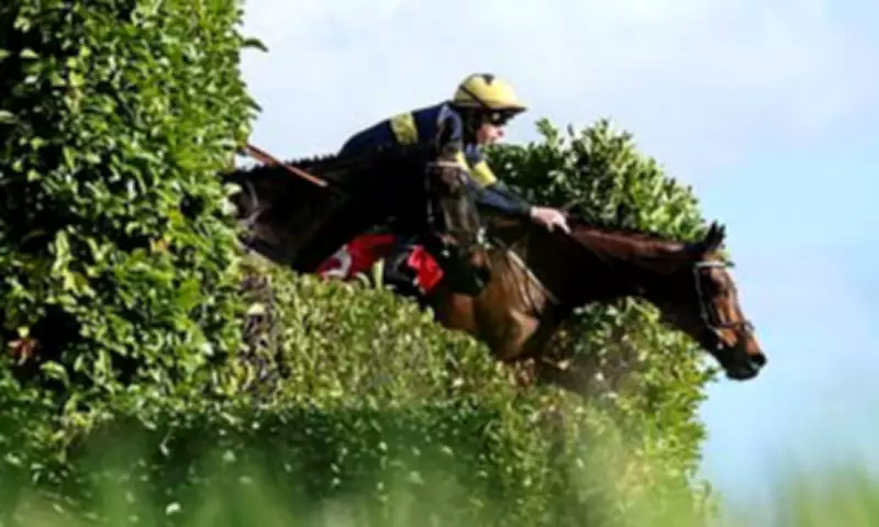 Cheltenham Festival Day Three Live: St Patrick's Thursday Racing Tips and Updates