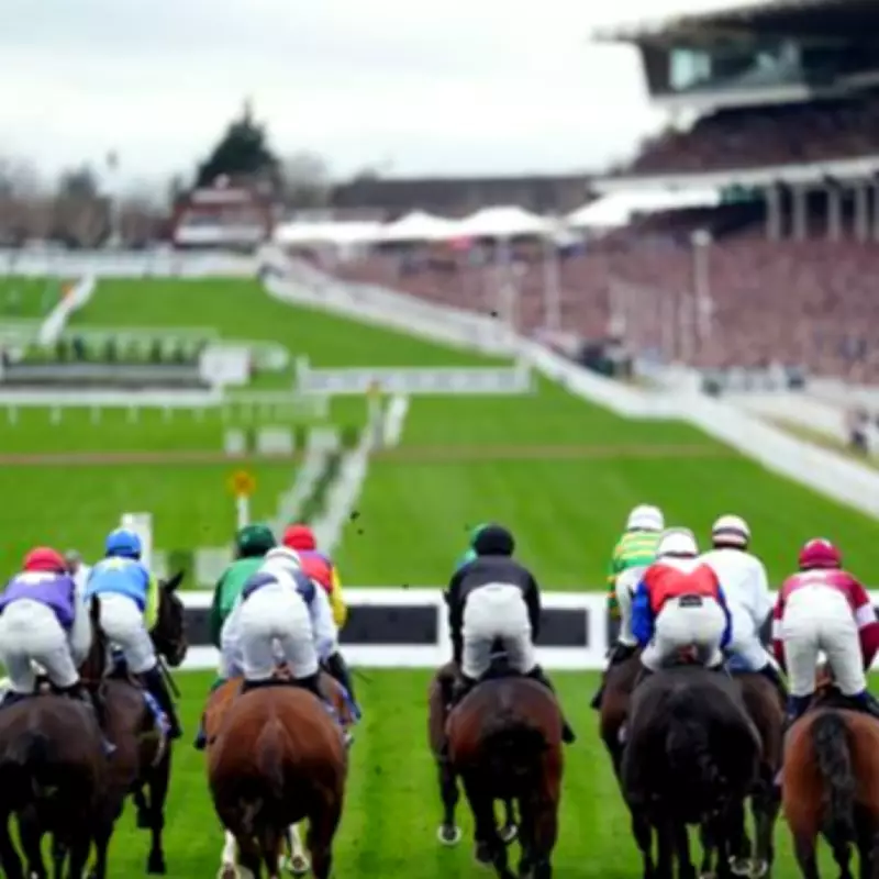 Cheltenham Festival Day Two: Champion Chase Headlines Amid Brawl Fallout