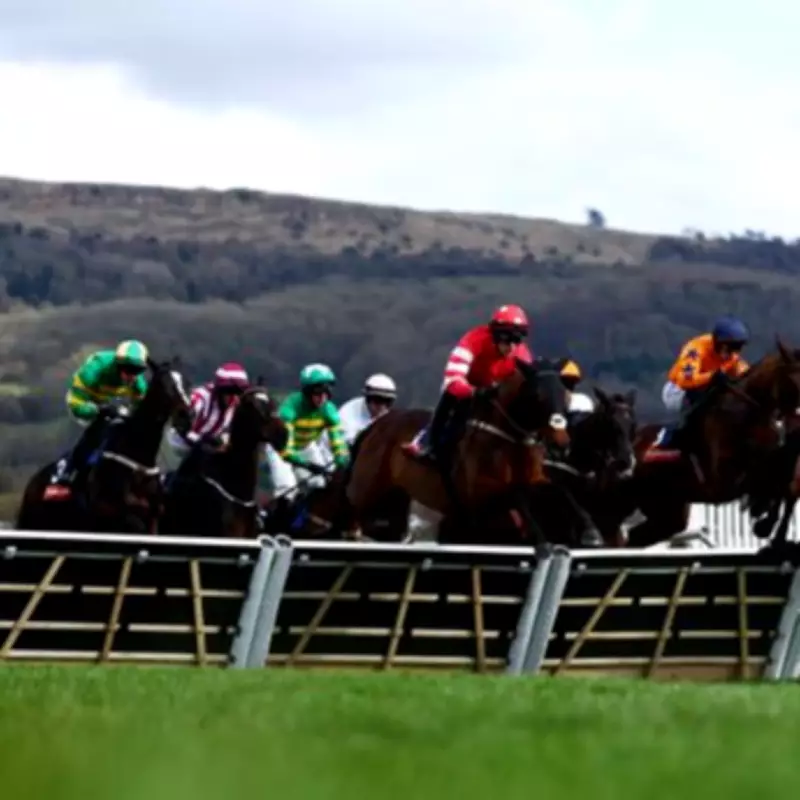 Cheltenham Festival Jockey Clash: Amateur Rider Alleges Abuse in TV Outburst