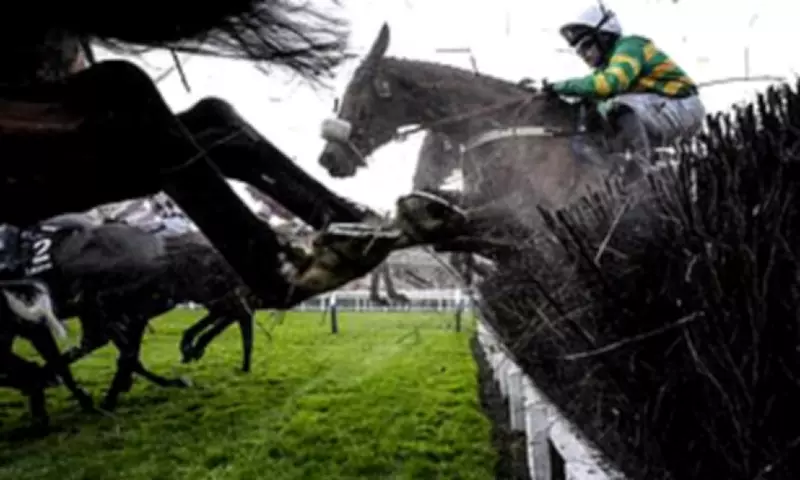 Cheltenham Festival Ladies Day Live: Majborough's Jockey Confident for Champion Chase