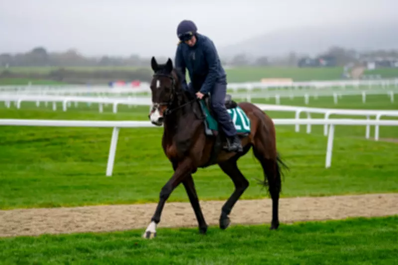 Cheltenham Festival Ladies Day: Majborough Aims for Champion Chase Glory