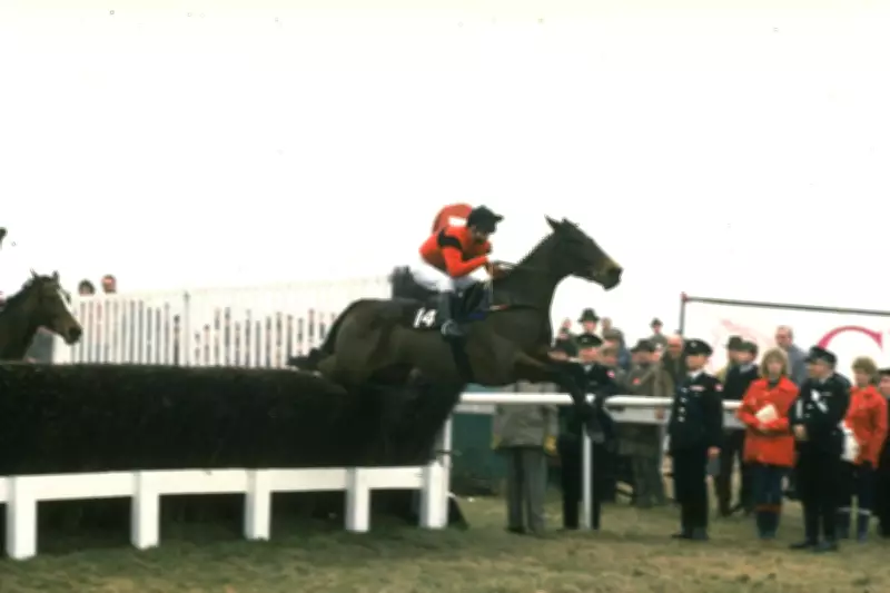 Cheltenham Festival Legends: Dawn Run and Jonjo O'Neill's Historic Partnership