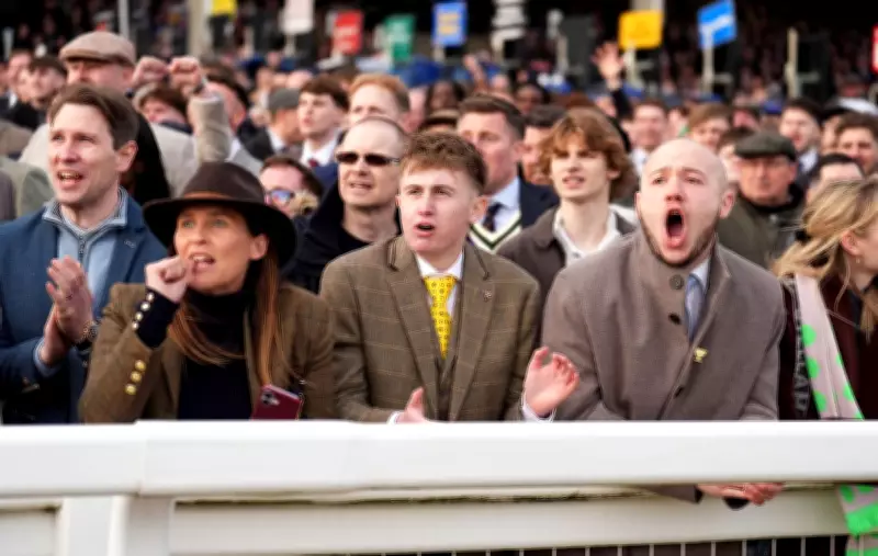 Cheltenham Festival Roars Back to Life as Crowds Celebrate Revamped Experience