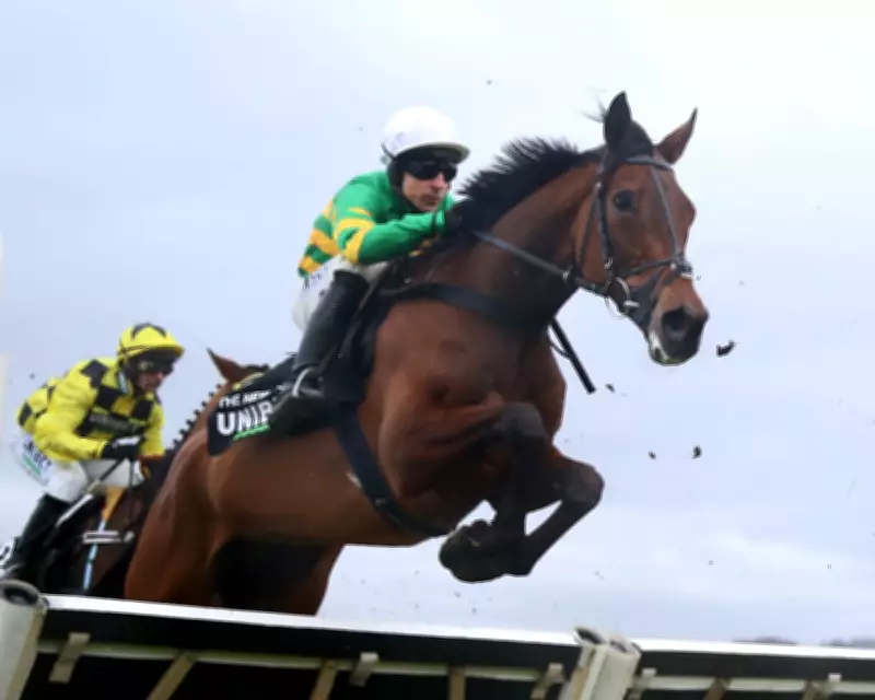 Cheltenham Festival Sees Record Turnout Amid Betting Surge