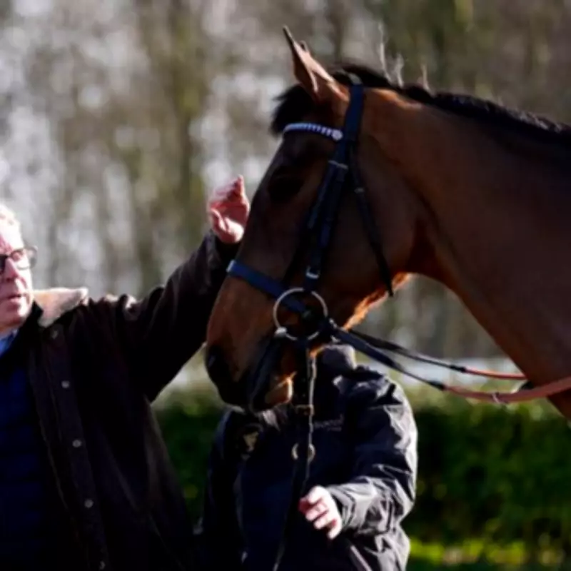 Cheltenham Festival to Serve 400,000 Guinness Pints, Zero Version Grows