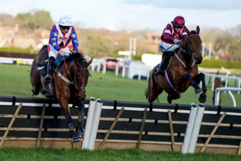 Cheltenham Festival Tragedy: Horse Hansard Dies After Fatal Injury in Arkle Race