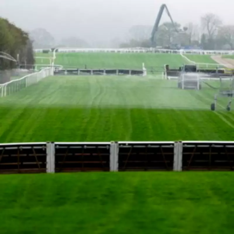 Cheltenham Festival Tragedy: Horse Hansard Dies on Opening Day