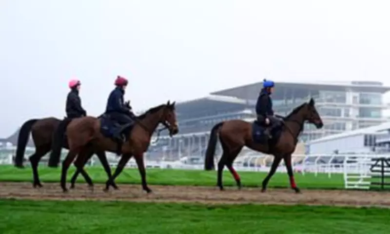 Cheltenham Festival's Glorious Unpredictability: A Celebration of Racing's Magic