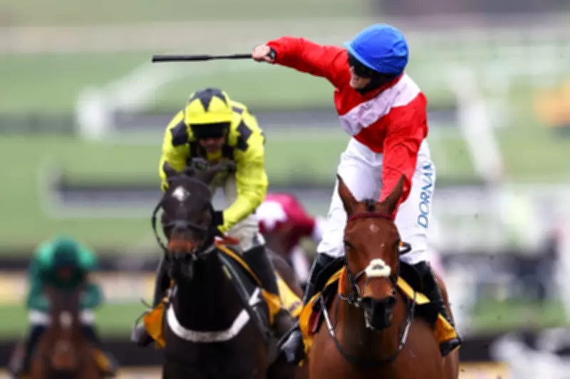 Cheltenham Gold Cup Tragedy: Envoi Allen Dies After Final Race Before Retirement