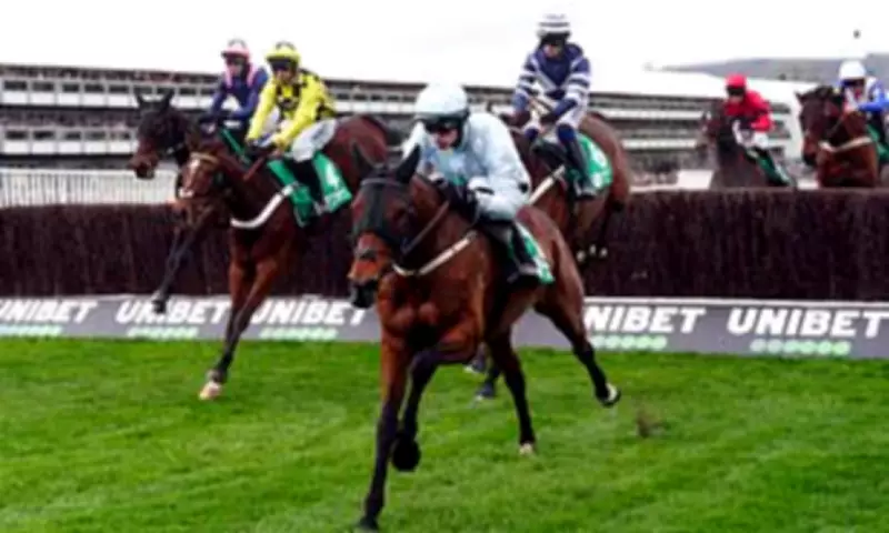 Cheltenham Ladies Day Sees Only Two Female Jockeys Among 128 Runners