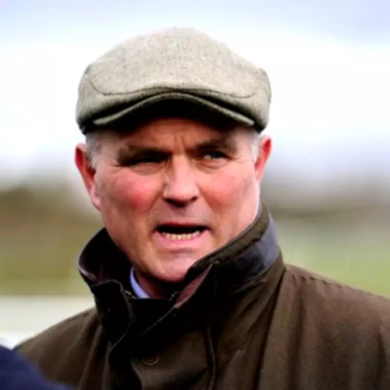 Cheltenham Trainer Evan Williams Convicted of GBH in Dog Walker Assault
