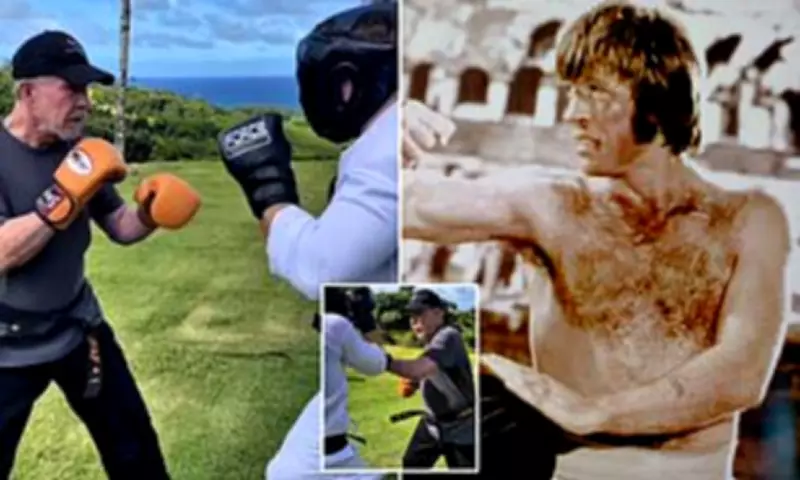 Chuck Norris's Final Video Shows Boxing Workout Days Before Sudden Passing