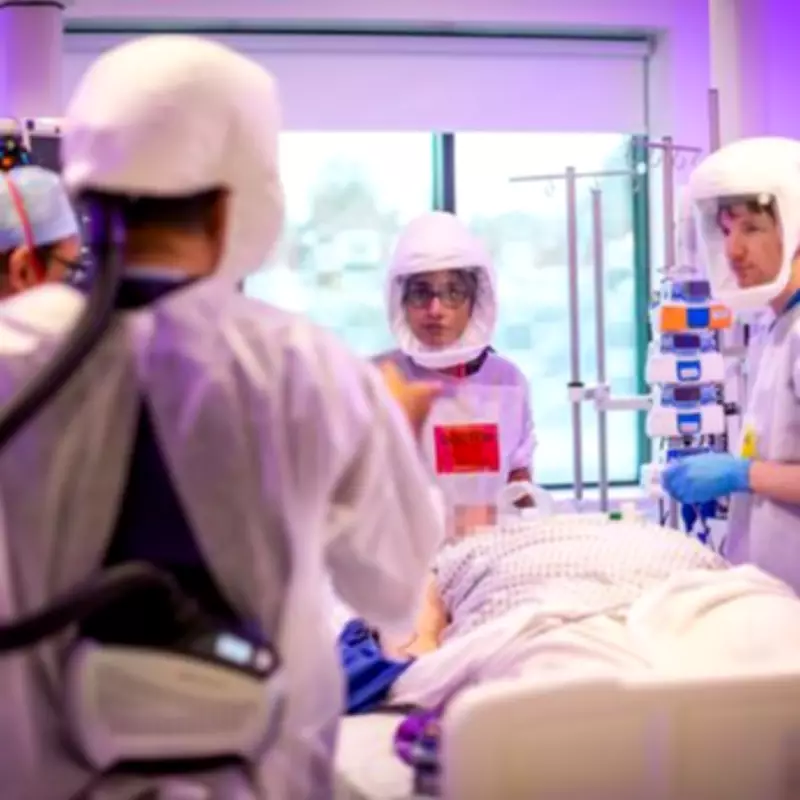 Cicada Covid Strain Spreading in US: 12 Symptoms Often Missed, Vaccine Efficacy Questioned