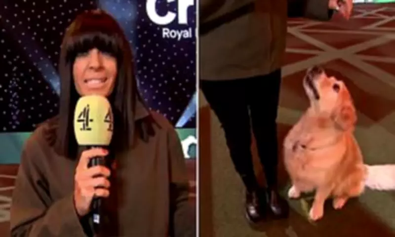Claudia Winkleman Declares Hosting Crufts Better Than Her Wedding Day