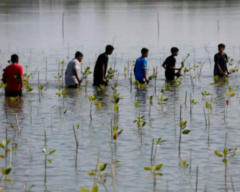 Climate Aid Cuts Threaten Global South with Devastating Consequences