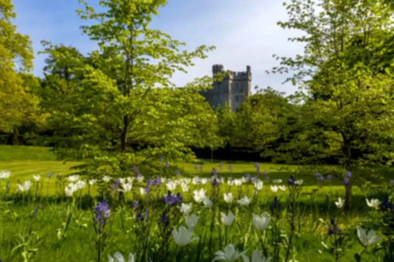 Clocks Spring Forward: Health Impacts and History of Daylight Saving Time