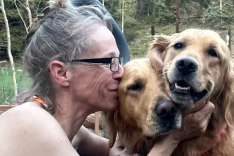 Colorado Family's Pets Sickened by Meth-Laced Hotdogs Found in Yard