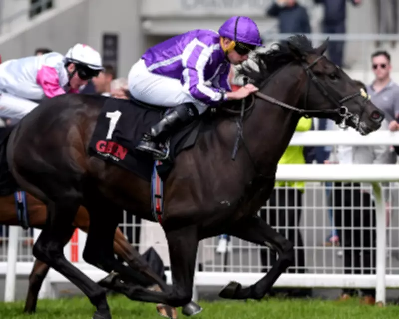 Computer Glitch Scratches O'Brien's Top Horses from 2,000 Guineas