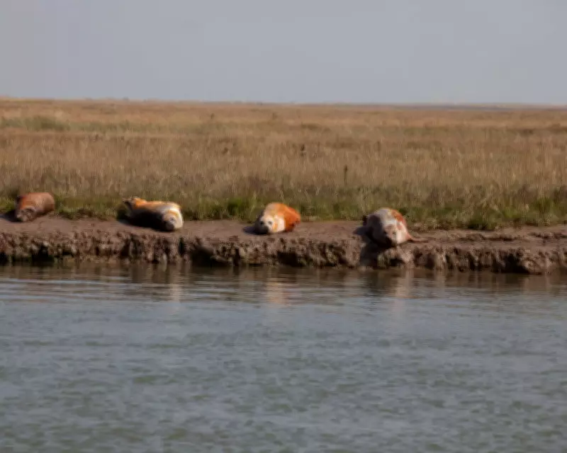 Conservation Leaders Reject Calls to Weaken Environmental Protections