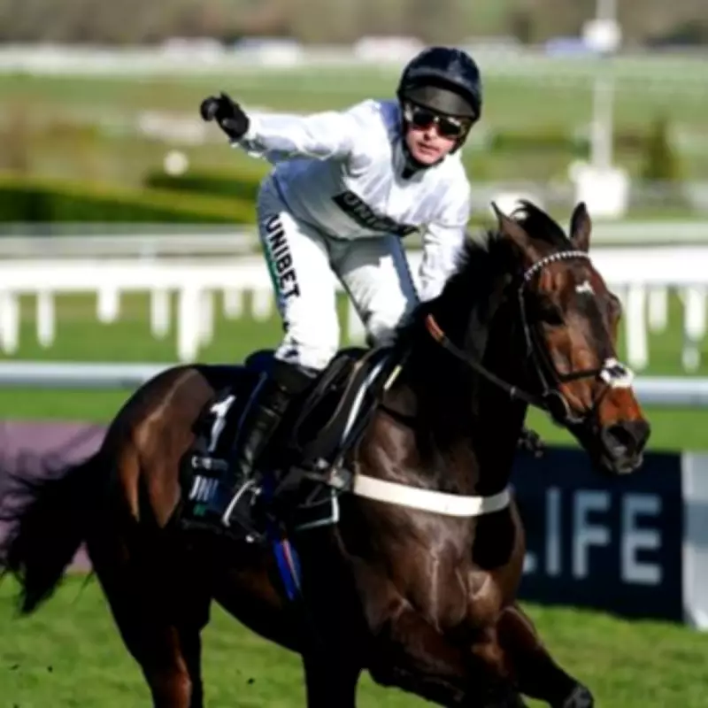 Constitution Hill Absent from Champion Hurdle: Retirement and Flat Racing Future