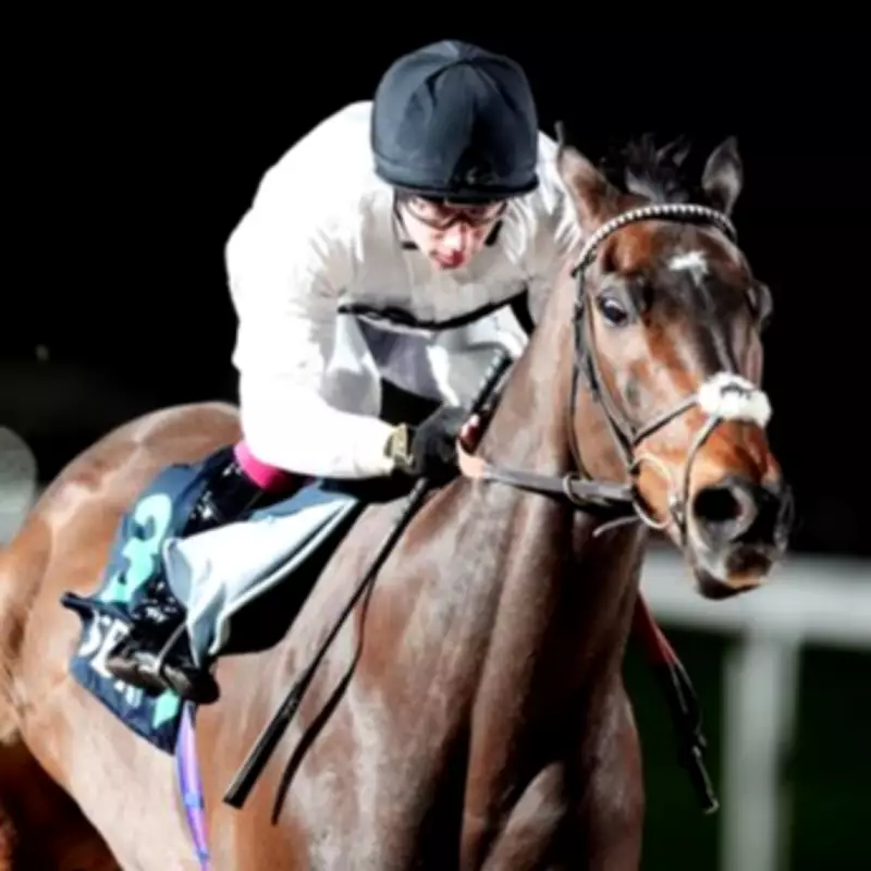 Constitution Hill Returns to Kempton for Second Flat Race Against Seven Rivals