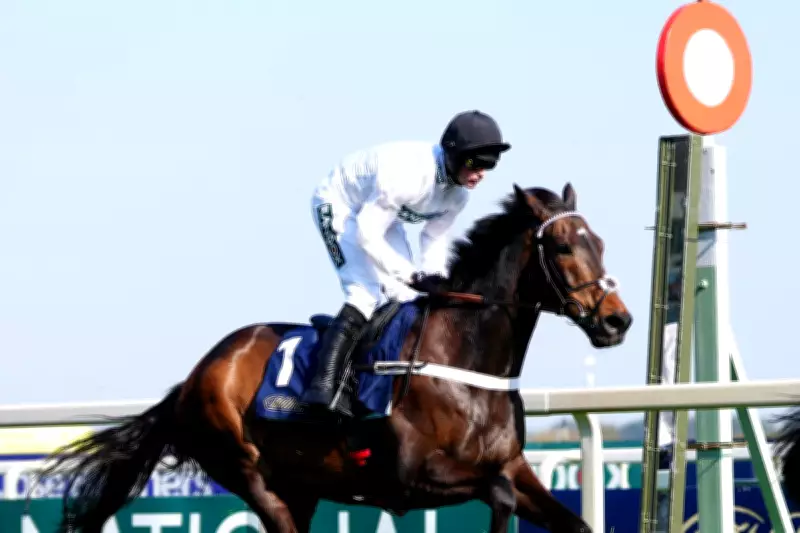 Constitution Hill's Flat Switch Amid Racing's Uncertain Future