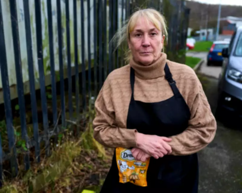 Council Ban on Cat Feeding Sparks National Animal Welfare Support