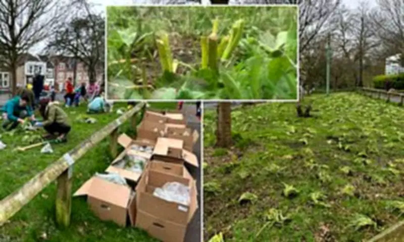 Council Mows Down 30,000 Volunteer-Planted Bulbs in Bristol Park Blunder