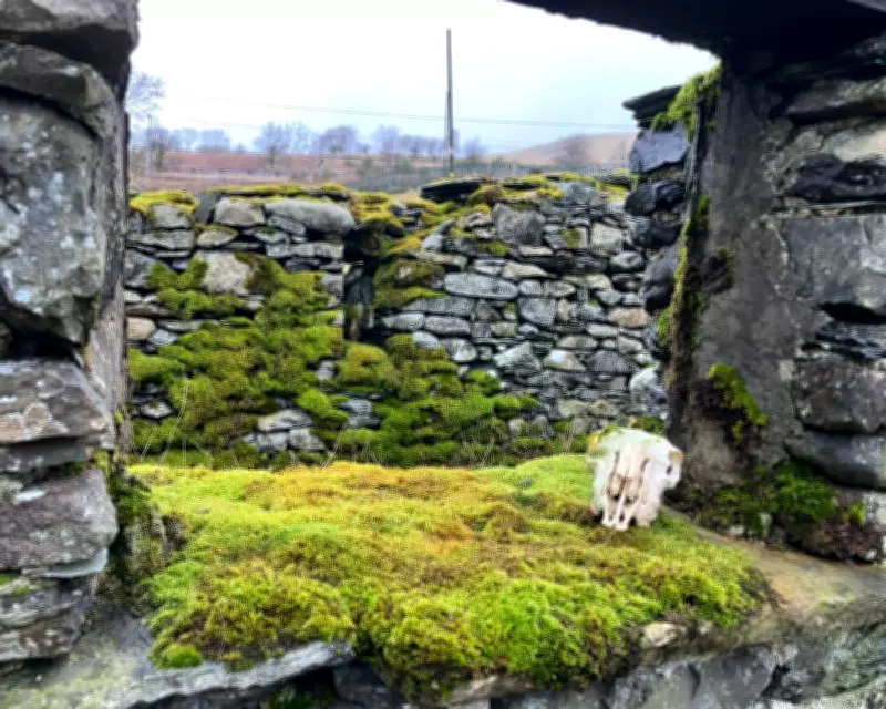 Country Diary: A Long-Term Perspective on Farmland and Fells