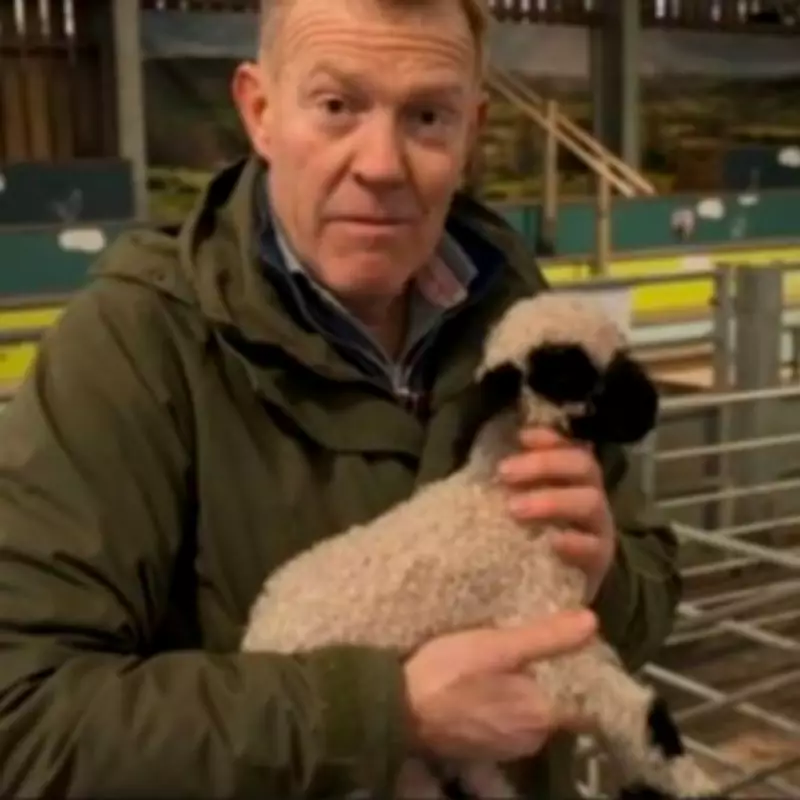 Countryfile's Adam Henson Welcomes Rare Valais Blacknose Lamb in Farm First
