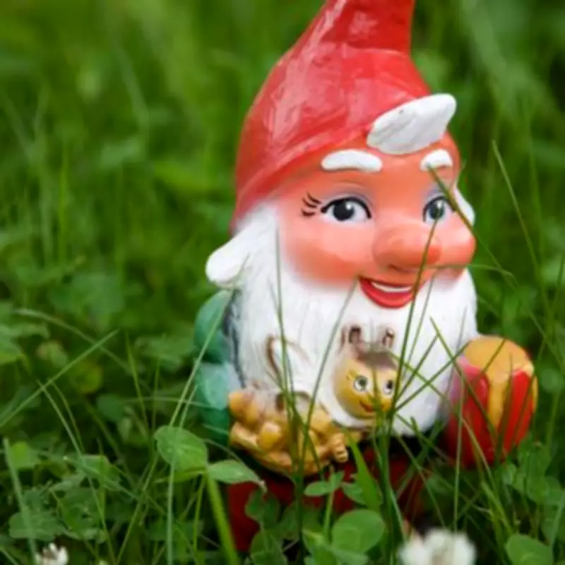Couple Triumph in Legal Battle Over Lawn After Neighbour's Gnome Claim