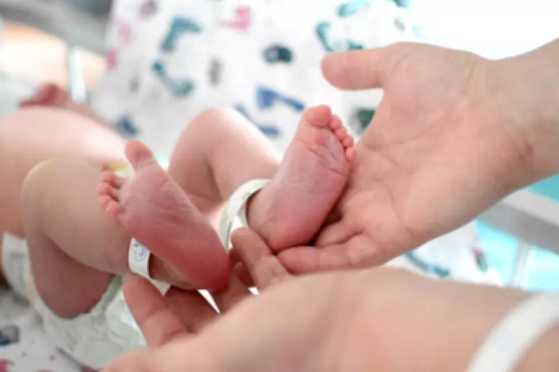 Court of Appeal Rules Paternity Unclear in Case Involving Mother and Identical Twins