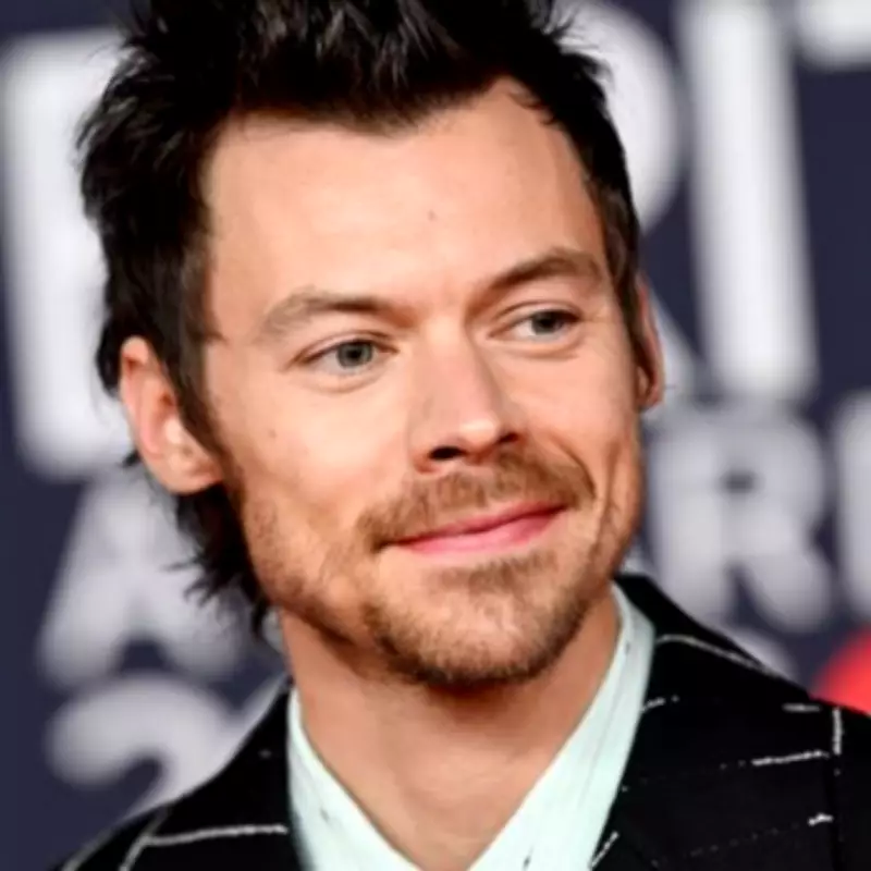 Critic Slams Harry Styles' New Album as a 'Dozeville' Disappointment