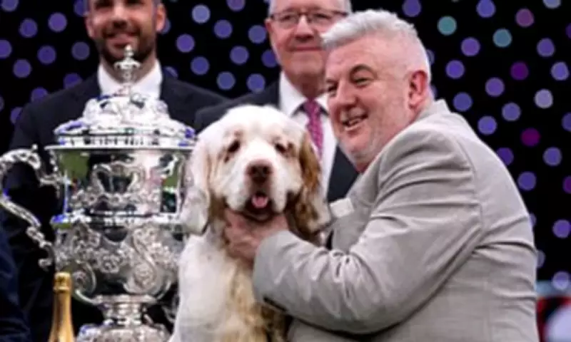 Crufts Best in Show Winner Has Past Animal Cruelty Conviction