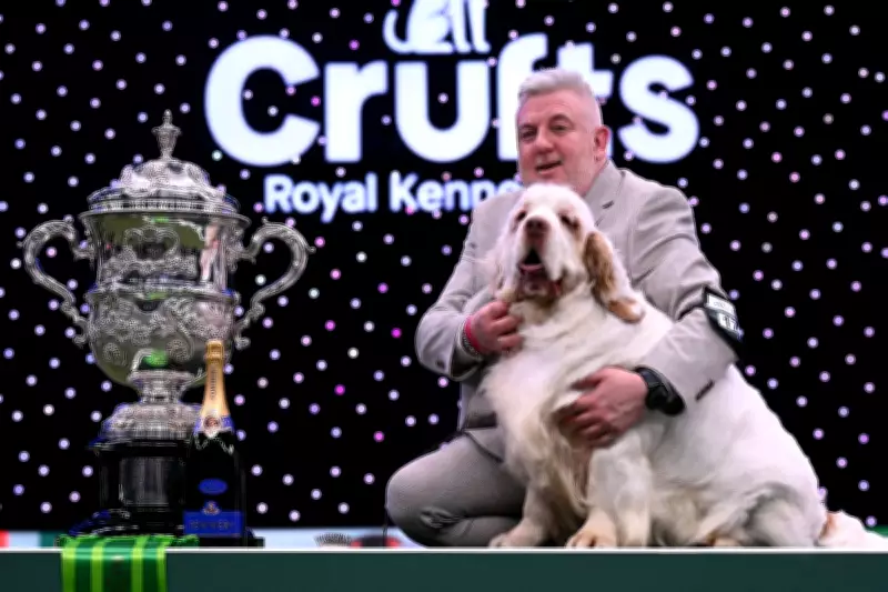 Crufts Champion Handler Lee Cox Has Past Animal Cruelty Conviction
