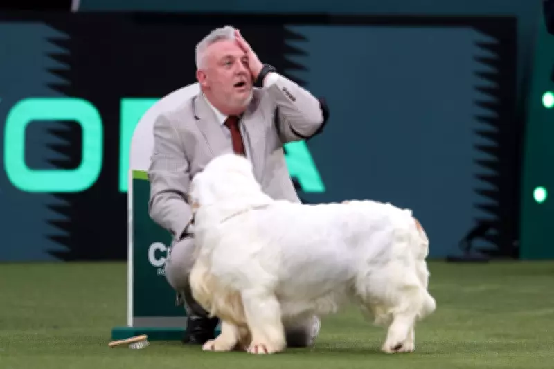 Crufts Winner Faces Calls to Lose Award After Animal Cruelty Conviction Revealed