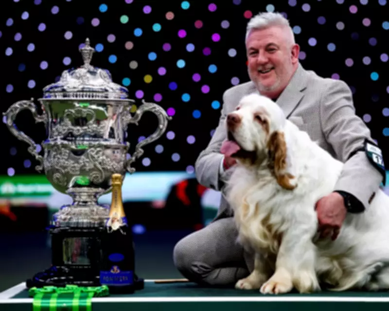 Crufts Winner's Animal Cruelty Conviction Sparks Outcry and Calls for Reform