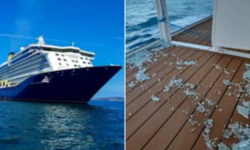 Cruise Passenger Died After Suboptimal Treatment Following Storm Fall, Investigation Finds