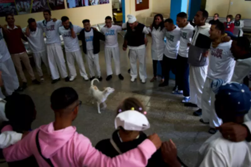 Cuba's Youth Seek Refuge in Church and State Amid Synthetic Drug Crisis