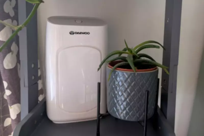 Daewoo 700ml Dehumidifier: Compact and Affordable Air Quality Solution