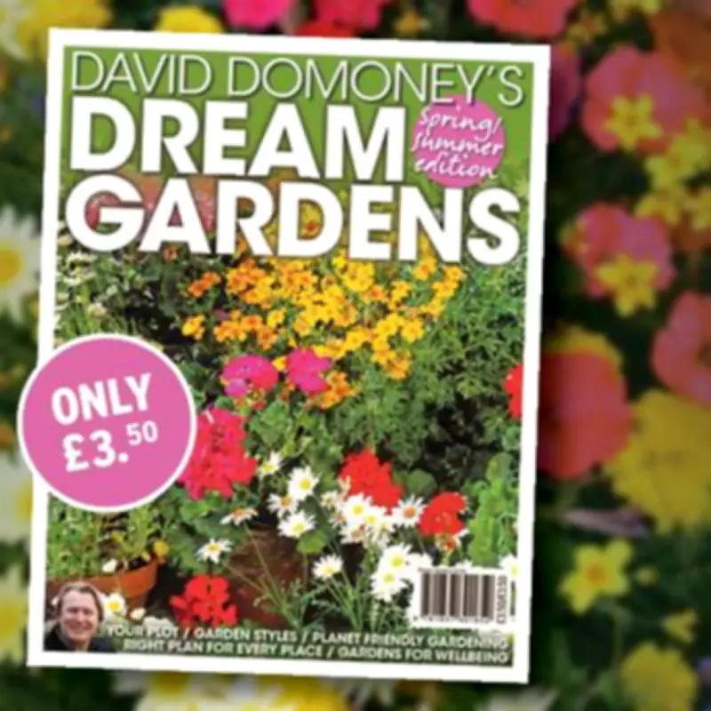 David Domoney's Dream Gardens Spring/Summer Special: Transform Your Outdoor Space